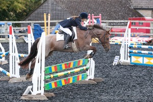 Class 6 - Fences not above 2'9